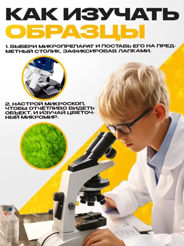 Набор для опытов &laquo;Набор микропрепаратов&raquo;, растения