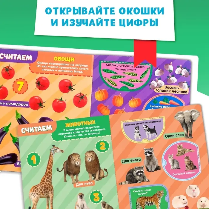 Книжка картонная с окошками &laquo;Цифры&raquo;, 10 стр.