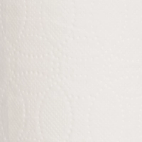 Бумага туалетная Выбор есть 2сл 55м белая 100% целлюлоза 24рул/уп