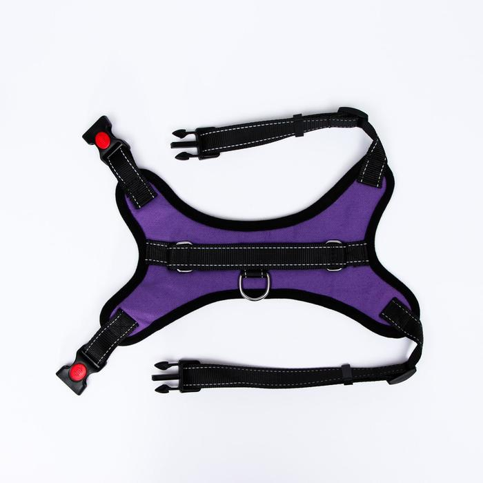 Шлейка К7 мягкая светоотражающая, размер L, ОГ 64-86 см, вес 18- 27,5 кг, фиолетовая Шлейка К7 мягкая светоотражающая, размер L, ОГ 64-86 см, вес 18- 27,5 кг, фиолетовая