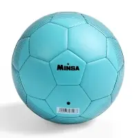 Футбольный мяч MINSA, машинная сшивка, 32 панели, р. 5, TPU
