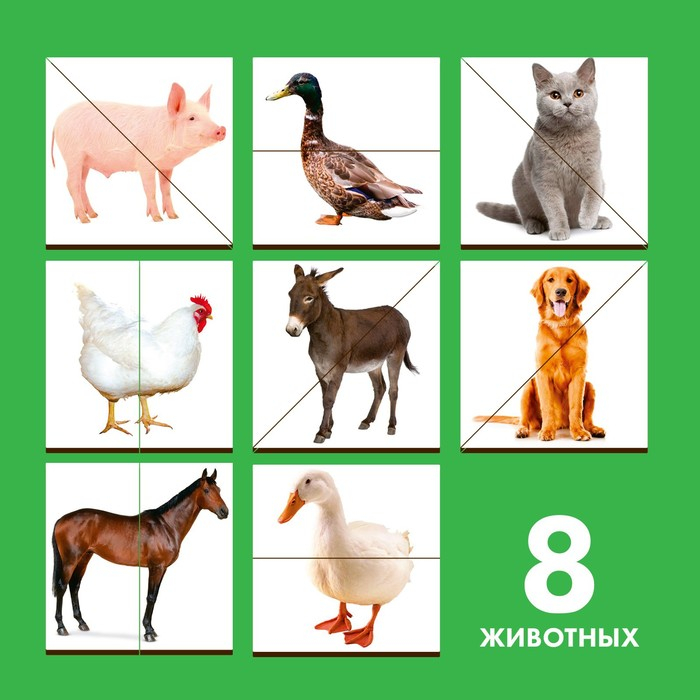 Картинки-половинки «Домашние животные» Картинки-половинки «Домашние животные»