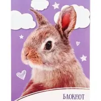 Блокнот А6, 24 листа на скрепке «Домашние животные», обложка мелованный картон, МИКС