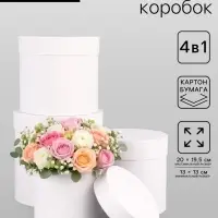 Набор круглых подарочных коробок 4 в 1 &laquo;Белизна&raquo;, 20&times;19.5 ‒13&times;13 см