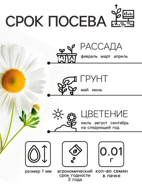 Семена Ромашка  Семена Ромашка "Гигантелла", 0,01 г