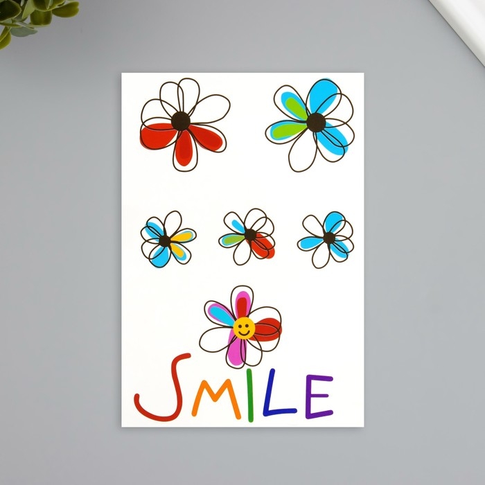 Татуировка на тело цветная Татуировка на тело цветная "Улыбка" 10,5х15,2 см