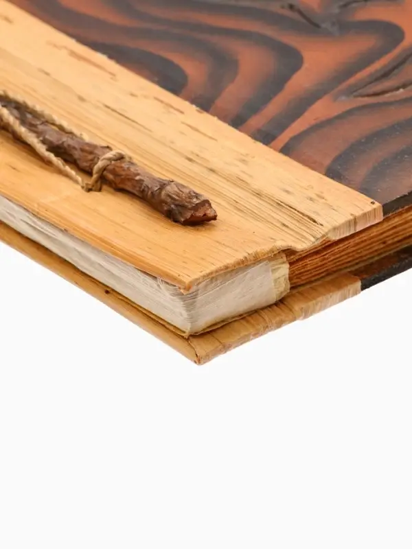 Фотоальбом &laquo;Ящерица&raquo;, 10 листов, 23&times;27&times;2 см, коричневый