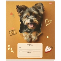 Тетрадь КЛЕТКА 18л. ОБАЯТЕЛЬНЫЕ ПЁСИКИ обл.-мелов.картон,ассорти 18-4310