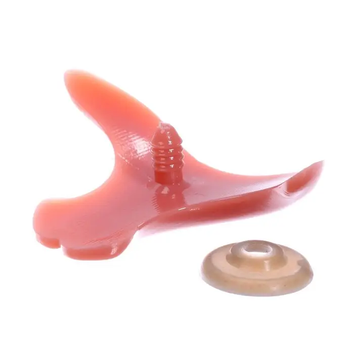 Носик винтовой с заглушкой, набор 2 шт., размер 1 шт: 5,25 × 3,9 см Носик винтовой с заглушкой, набор 2 шт., размер 1 шт: 5,25 × 3,9 см