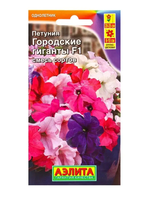 Семена цветов Петуния Городские гиганты F1, смесь сортов (драже в пробирке), Ц/П,7 шт. Семена цветов Петуния Городские гиганты F1, смесь сортов (драже в пробирке), Ц/П,7 шт.