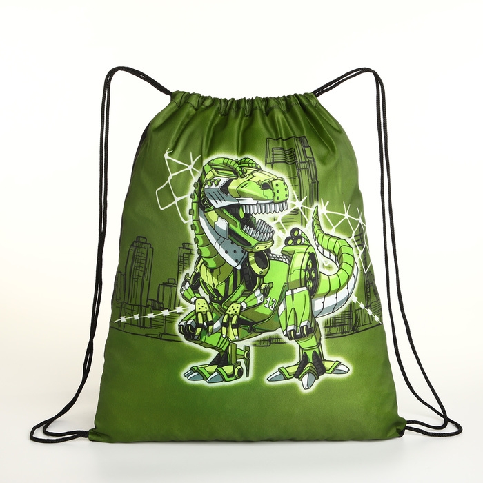 Мешок для обуви на шнурке, цвет зелёный Мешок для обуви на шнурке, цвет зелёный