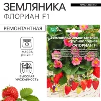 Семена Земляника ремонтантная &laquo;Флориан&raquo;, F1, крупноплодная, 5 шт., &laquo;Уральский Дачник&raquo;