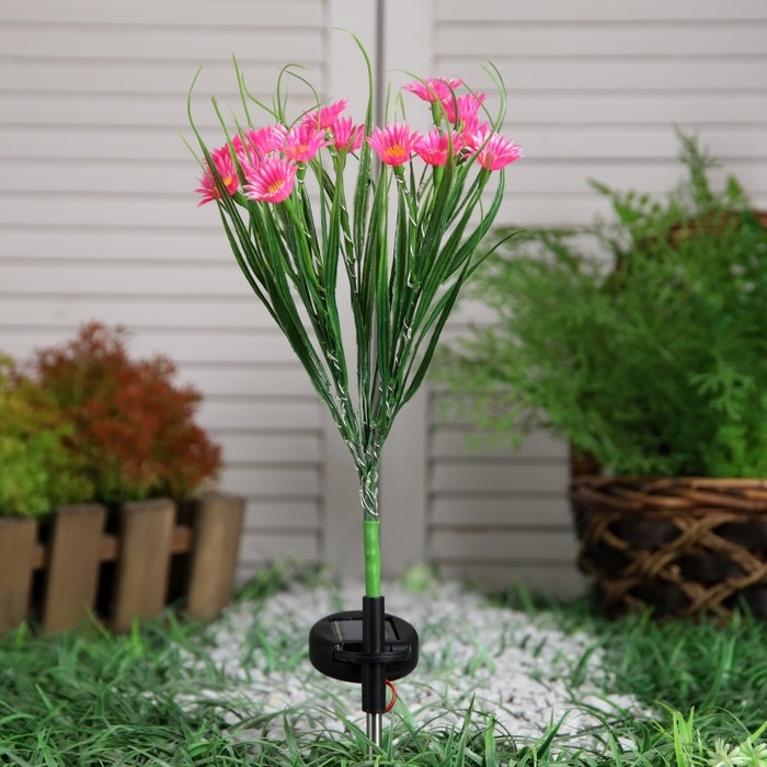 Садовый светильник на солнечной батарее «Маргаритки», 70 см, 42 LED, свечение белое Садовый светильник на солнечной батарее «Маргаритки», 70 см, 42 LED, свечение белое