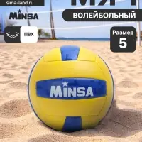 Волейбольный мяч MINSA, машинная сшивка, 18 панелей, р. 5, PVC