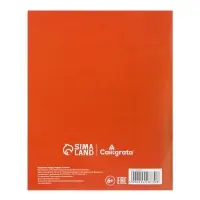 Предметная тетрадь по русскому языку Calligrata. MonoTone, 36 листов, в линейку, со справочным материалом, обложка из мелованной бумаги