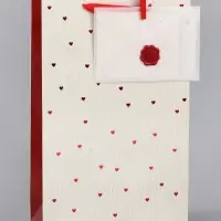 Пакет подарочный ламинированный &laquo;Важный момент&raquo;, 22.3&times;9&times;35 см