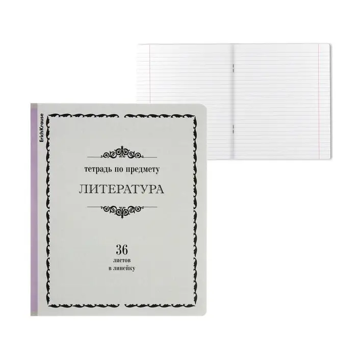 Тетрадь предметная ЛИТЕРАТУРА, 36 листов в линейку, ErichKrause "Академкнига", обложка мелованный картон, блок офсет 100% белизна, инфо-блок