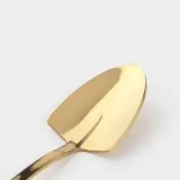 Ложка десертная из нержавеющей стали Magistro &laquo;Лопата&raquo;, длина 12 см, цвет золотой