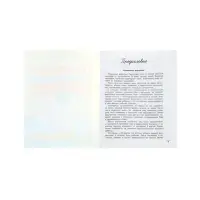 Тренажер по чистописанию. Русский язык, 4 класс, Субботина Е.А. 2026