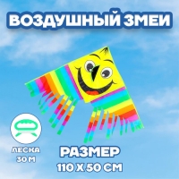 Воздушный змей «Смайл»