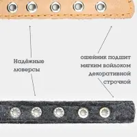 Ошейник, 35&times;1.5 см, подклад из ватина, кожа, бежевый