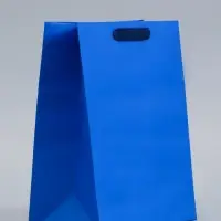Пакет подарочный ламинированный, упаковка, &laquo;Синий&raquo;, ML 23&times;27&times;11.5 см