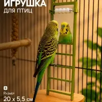 Игрушка для птиц &laquo;Лесенка&raquo;, 20&times;5.5 см, 4 ступени, зеркало, бусинки, зелёная