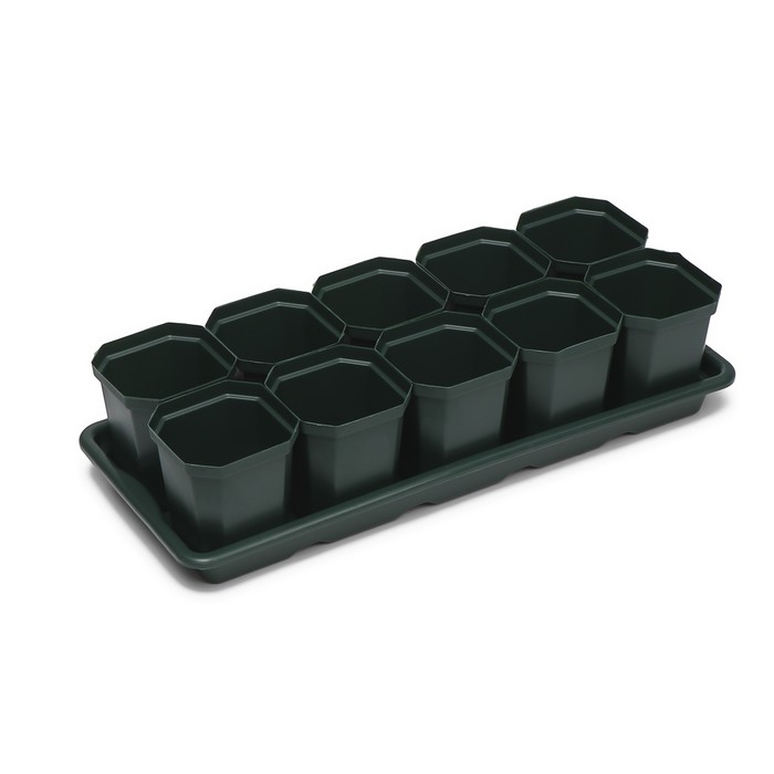 Набор для рассады: стаканы по 300 мл (10 шт.), поддон 41 × 17 см, цвет МИКС Набор для рассады: стаканы по 300 мл (10 шт.), поддон 41 × 17 см, цвет МИКС