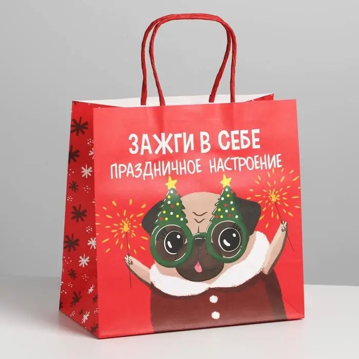 Пакет подарочный новогодний «Зажги в себе», 22 х 22 х 11 см Пакет подарочный новогодний «Зажги в себе», 22 х 22 х 11 см