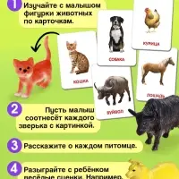 Развивающий набор &laquo;Домашние животные&raquo;, по методике Домана, 9 карточек, 3-6 лет