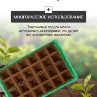 Набор для рассады: торфяная кассета, 24 ячейки по 50 мл, поддон 31&times;20 см, зелёный, пластик, Экоторф