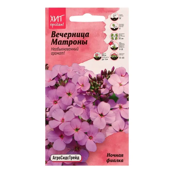 Семена цветов Вечерница Матроны Семена цветов Вечерница Матроны "Ночная фиалка", 0,2 г