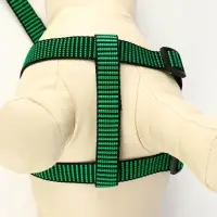Шлейка с поводком, рельефная, 120&times;2 см, ОГ 44-50 см, зелёная, чёрная