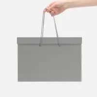 Коробка Handgrip, горизонтальная, серая Коробка Handgrip, горизонтальная, серая