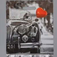 Пакет подарочный Раритет  40 х 31 см 60 мкм