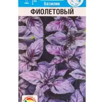 Семена Базилик Фиолетовый 0.5 г (Сибирский сад)