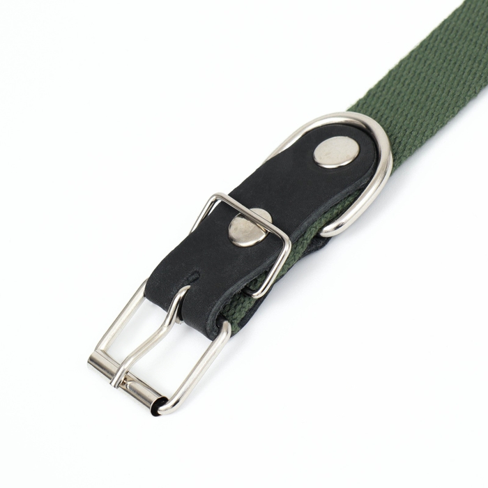 Ошейник брезентовый однослойный, 66 х 3 см, ОШ 33-60 см, тёмно-зелёный Ошейник брезентовый однослойный, 66 х 3 см, ОШ 33-60 см, тёмно-зелёный