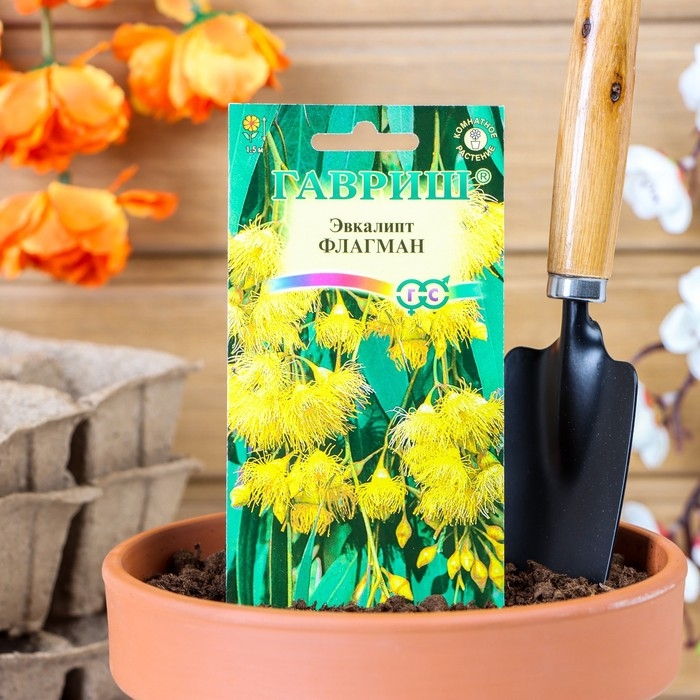 Семена комнатных цветов Эвкалипт  Семена комнатных цветов Эвкалипт "Флагман", ц/п,  0,05 г