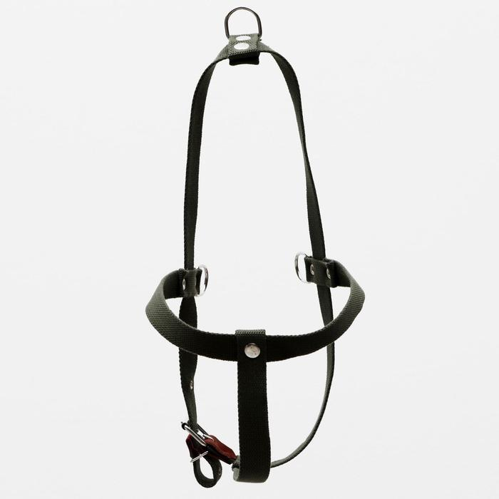 Шлейка брезентовая, регулируемая многоразмерная, 2,5 см, ОШ 45, ОГ 76-90 см, тёмно-зелёная Шлейка брезентовая, регулируемая многоразмерная, 2,5 см, ОШ 45, ОГ 76-90 см, тёмно-зелёная