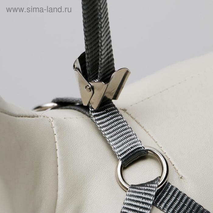 Комплект амуниции с мягкой шлейкой, L, поводок 120 х 1,5 см, ОШ 30-50 см, ОГ 36-56 см, красный   473 Комплект амуниции с мягкой шлейкой, L, поводок 120 х 1,5 см, ОШ 30-50 см, ОГ 36-56 см, красный   473