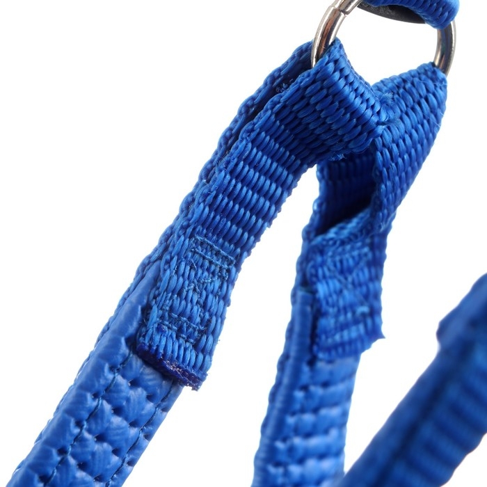 Шлейка Шлейка "Комфорт" комбинированная, 2 см, ОШ 40-58 см, ОГ 46-60 см, синяя