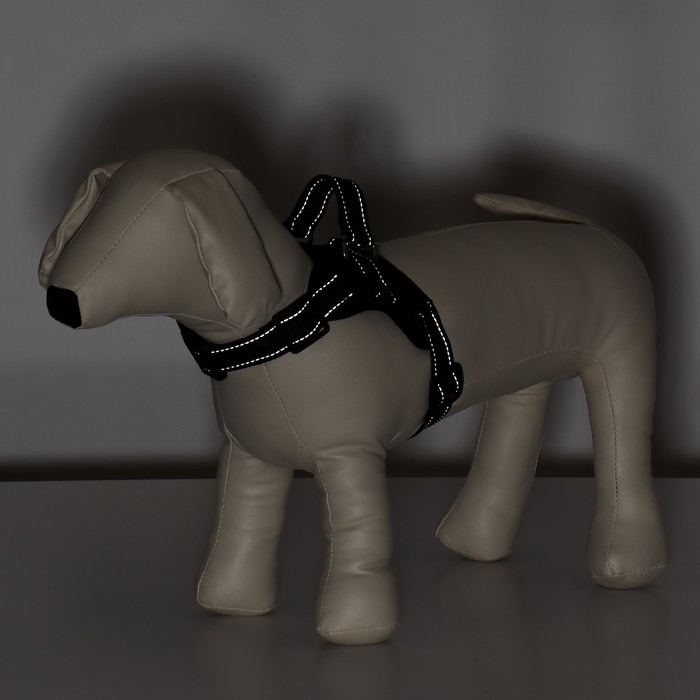 Шлейка К7 мягкая светоотражающая, размер XS, ОГ 34-44 см, вес 2,5-5 кг, чёрная Шлейка К7 мягкая светоотражающая, размер XS, ОГ 34-44 см, вес 2,5-5 кг, чёрная