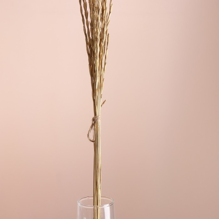 Набор сухоцветов Набор сухоцветов "Райграс", банч 21 шт, длина 60 (+/- 6 см), натуральный