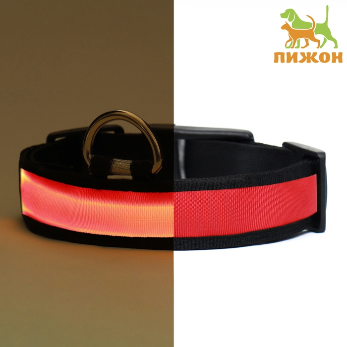 Ошейник с подсветкой Flash 3 режима свечения, размер S, ОШ 35-43 х 2,5 см красный Ошейник с подсветкой Flash 3 режима свечения, размер S, ОШ 35-43 х 2,5 см красный