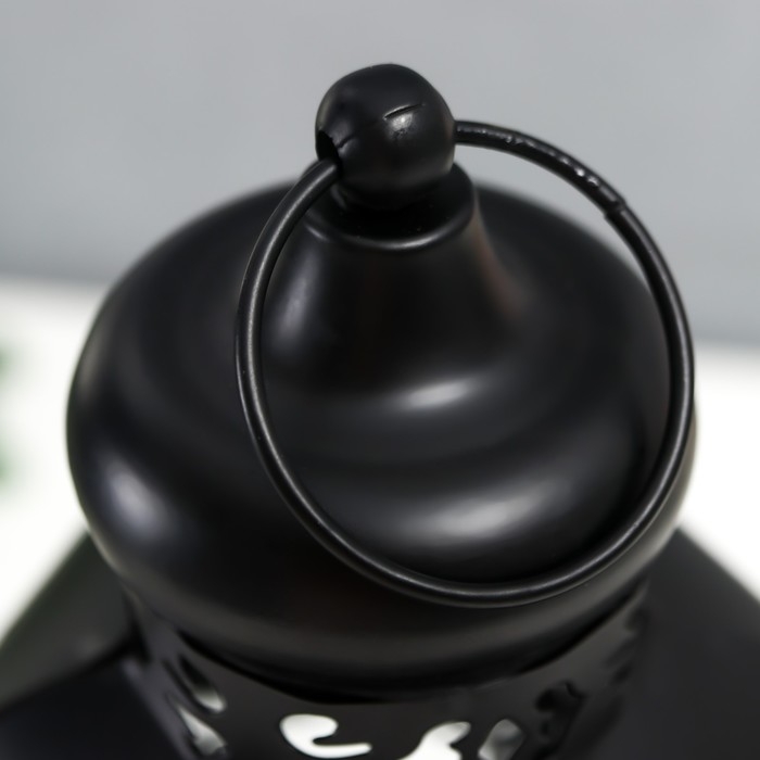 Подсвечник металл, стекло Подсвечник металл, стекло "Фонарь - цветущие вензеля" d-10 см чёрный 13,5х15х29 см