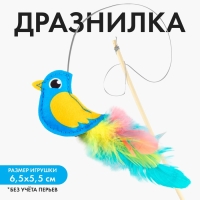 Дразнилка из фетра «‎Птичка», 6,6х5,6 см