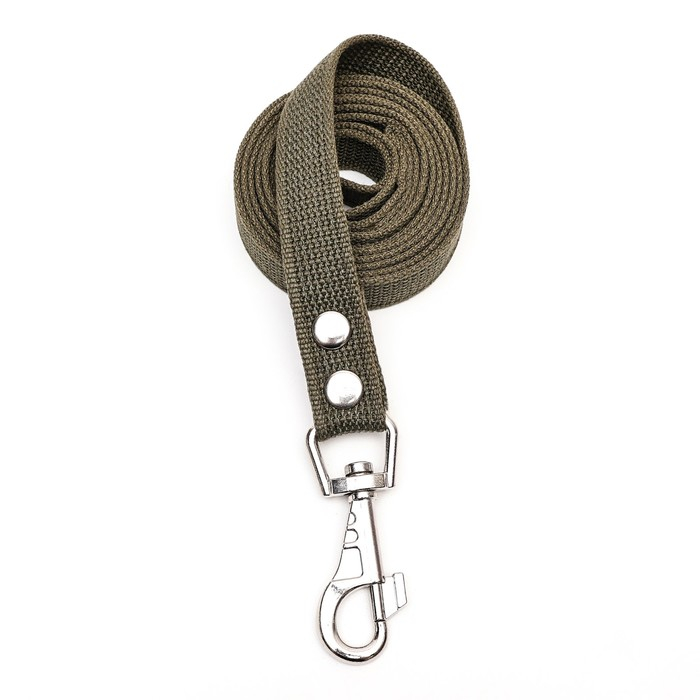 Поводок брезентовый 2 м х 2,5 см, тёмно-зелёный Поводок брезентовый 2 м х 2,5 см, тёмно-зелёный