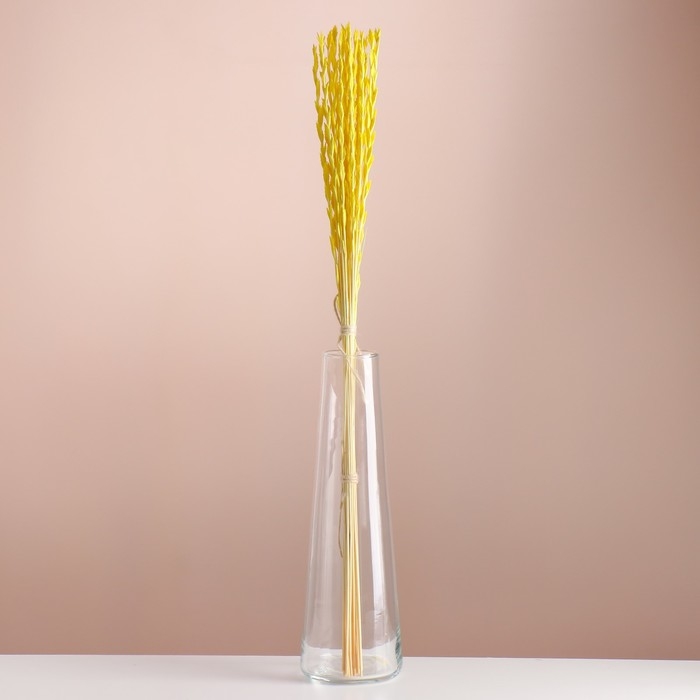 Набор сухоцветов Набор сухоцветов "Райграс", банч 21 шт, длина 60 (+/- 6 см), желтый