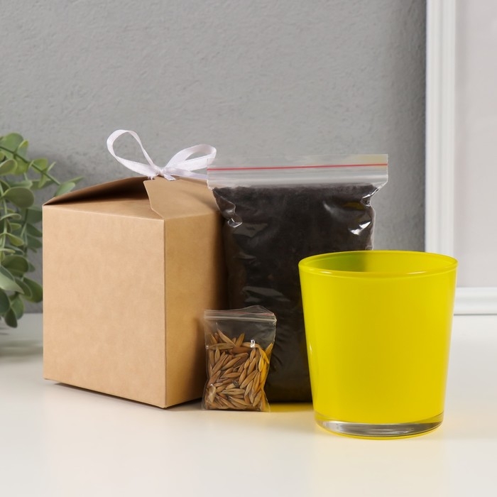 Набор для выращивания растений Набор для выращивания растений "Вырасти травку" желтый