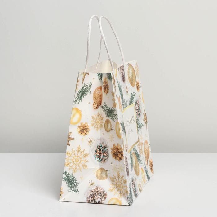 Пакет подарочный новогодний крафтовый «Сказочный праздник», 25 х 22 х 12 см, Новый год Пакет подарочный новогодний крафтовый «Сказочный праздник», 25 х 22 х 12 см, Новый год
